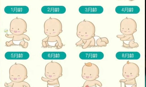 伸筋草功效主治网-分享伸筋草功效作用与主治，伸筋草功效主治用法用量知识库