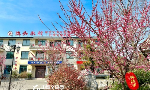 伸筋草功效主治每次多少克-伸筋草功效主治网-分享伸筋草功效作用与主治，伸筋草功效主治用法用量知识库